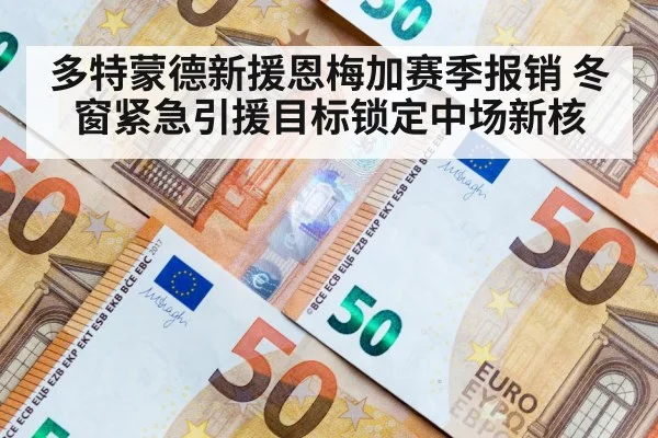 多特蒙德新援恩梅加赛季报销 冬窗紧急引援目标锁定中场新核